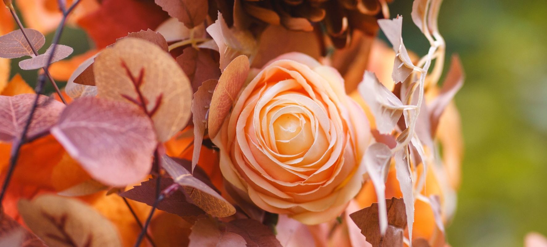 Un mariage champêtre au cœur de l’été